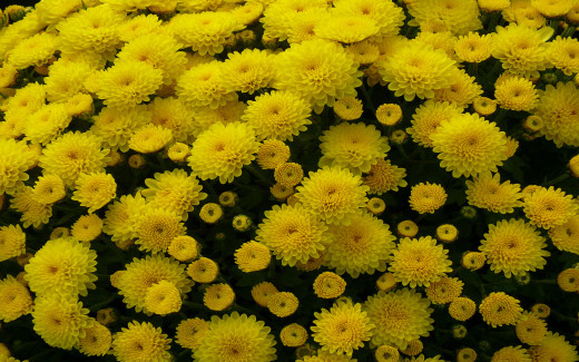 530879 (a): :1680x1050